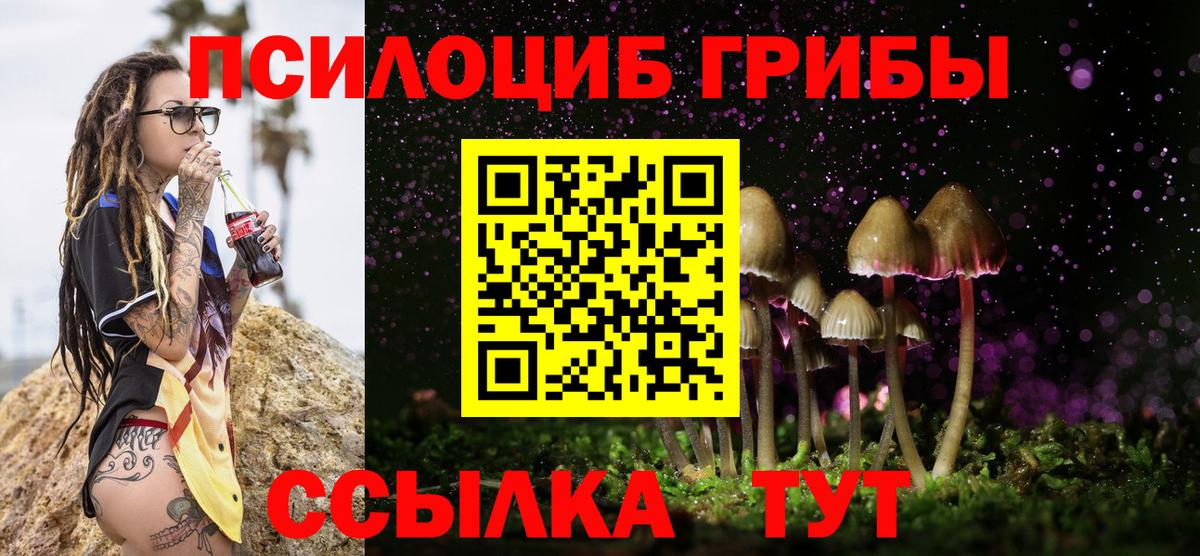Псилоцибиновые грибы ЛСД Зерноград