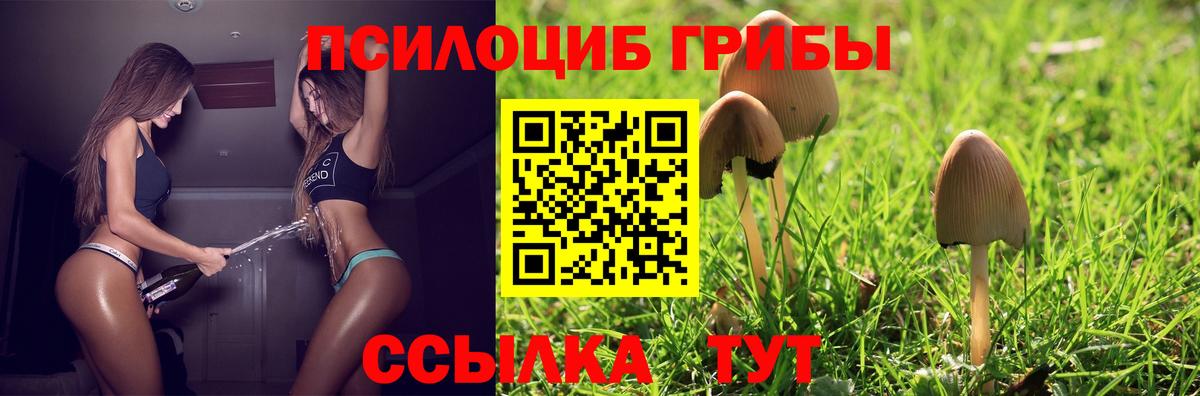 Зерноград  Галлюциногенные грибы Magic Shrooms  сколько стоит  Вход с VPN 